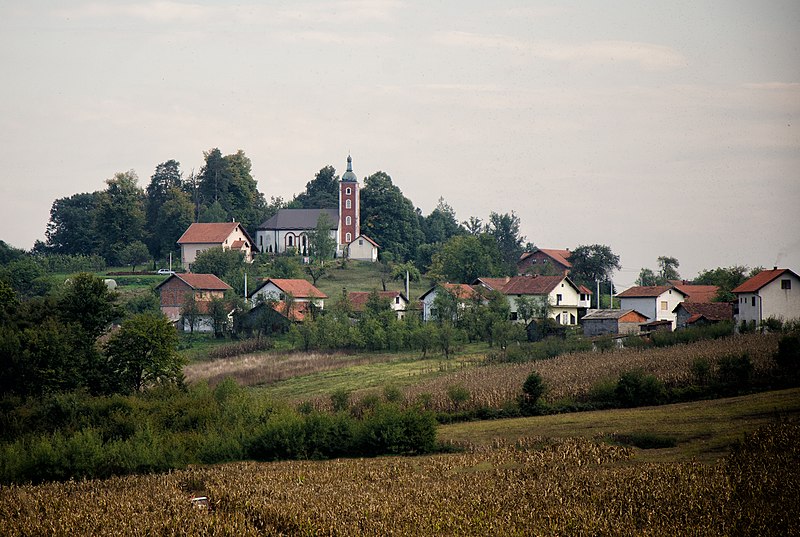 Gojakovac Cerovica